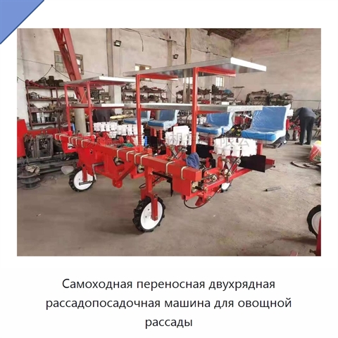 Самоходная переносная двухрядная рассадопосадочная машина для овощной рассады
