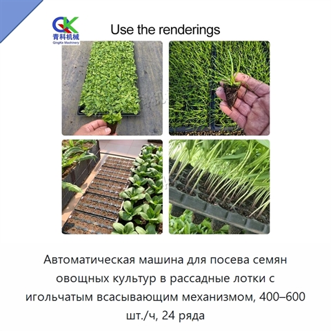 Автоматическая машина для посева семян овощных культур в рассадные лотки с игольчатым всасывающим механизмом, 400–600 шт./ч, 24 ряда