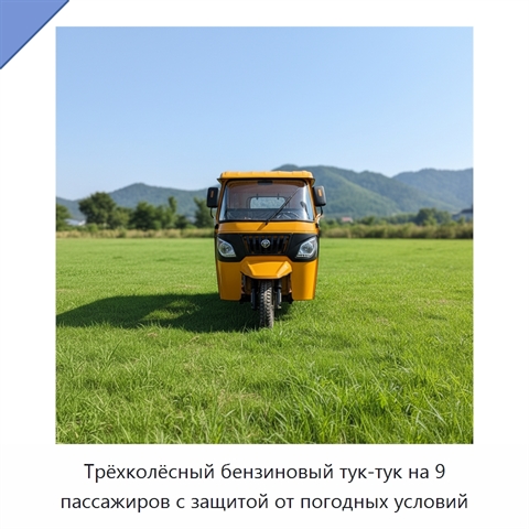 Трёхколёсный бензиновый тук-тук на 9 пассажиров с защитой от погодных условий