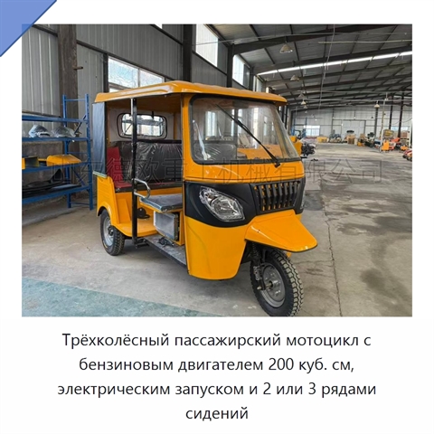 Трёхколёсный пассажирский мотоцикл с бензиновым двигателем 200 куб. см, электрическим запуском и 2 или 3 рядами сидений