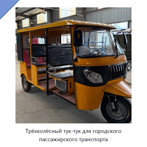 Трёхколёсный тук-тук для городского пассажирского транспорта