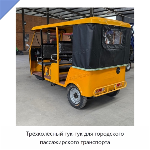 Трёхколёсный тук-тук для городского пассажирского транспорта