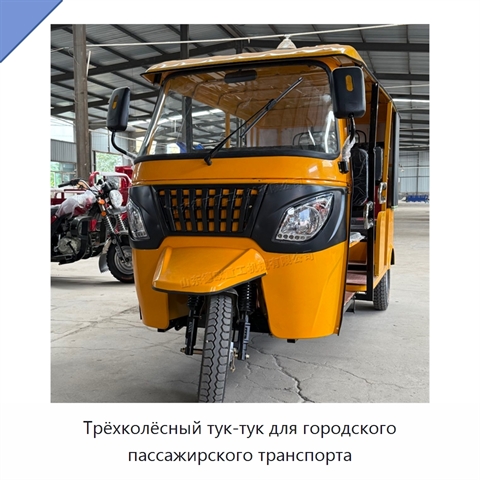 Трёхколёсный тук-тук для городского пассажирского транспорта