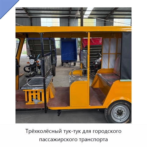 Трёхколёсный тук-тук для городского пассажирского транспорта