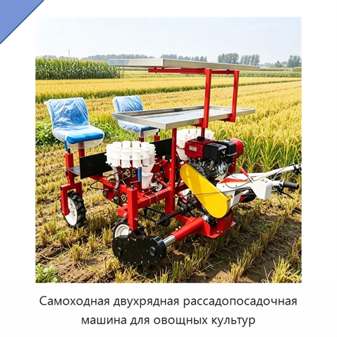 Самоходная двухрядная рассадопосадочная машина для овощных культур
