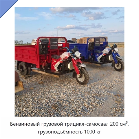 Бензиновый грузовой трицикл-самосвал 200 см³, грузоподъёмность 1000 кг