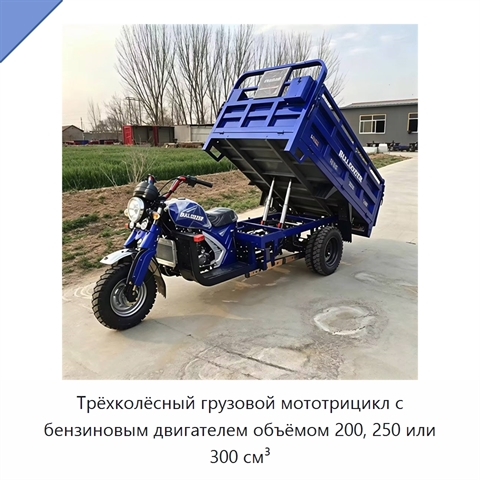 Трёхколёсный грузовой мототрицикл с бензиновым двигателем объёмом 200, 250 или 300 см³