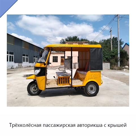 Трёхколёсная пассажирская авторикша с крышей