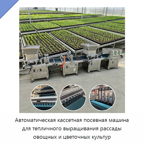 Автоматическая кассетная посевная машина для тепличного выращивания рассады овощных и цветочных культур — Сеялки и рассадопосадочные машины