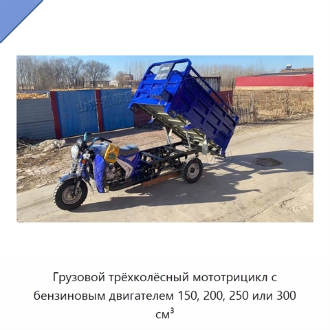 Грузовой трёхколёсный мототрицикл с бензиновым двигателем 150, 200, 250 или 300 см³