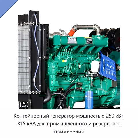 Контейнерный генератор мощностью 250 кВт, 315 кВА для промышленного и резервного применения