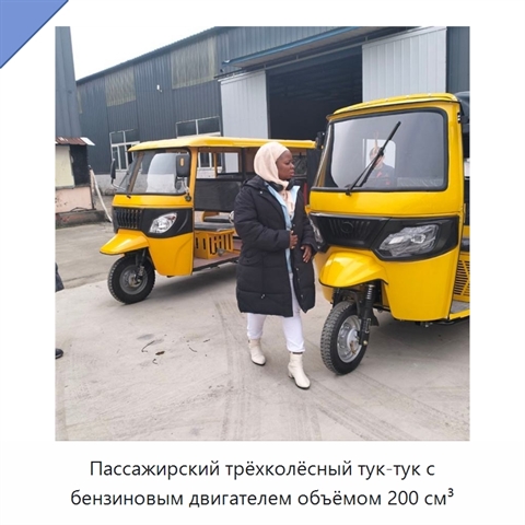 Пассажирский трёхколёсный тук-тук с бензиновым двигателем объёмом 200 см³