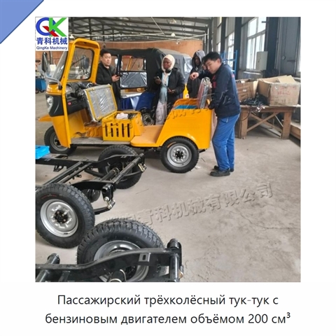 Пассажирский трёхколёсный тук-тук с бензиновым двигателем объёмом 200 см³