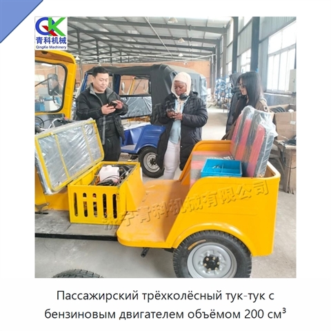 Пассажирский трёхколёсный тук-тук с бензиновым двигателем объёмом 200 см³