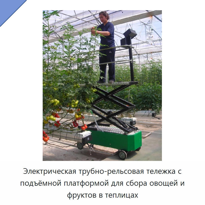 Электрическая трубно-рельсовая тележка с подъёмной платформой для сбора овощей и фруктов в теплицах — Подъемные столы
