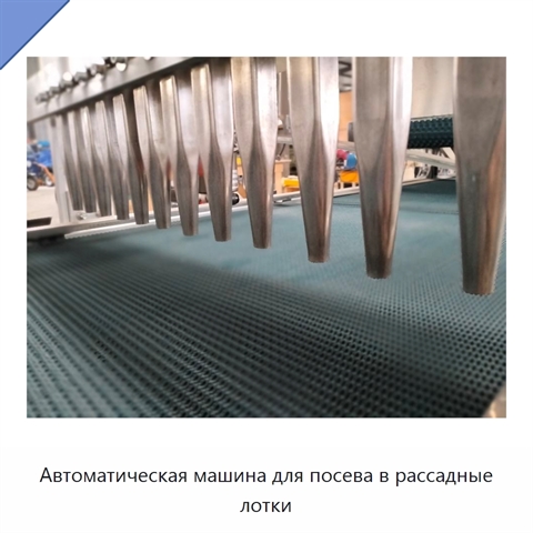 Автоматическая машина для посева в рассадные лотки