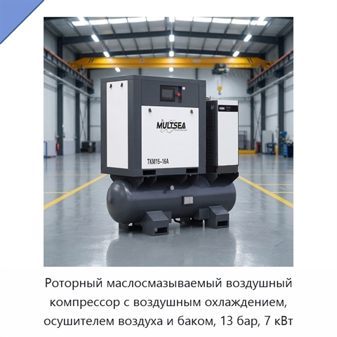 Роторный маслосмазываемый воздушный компрессор с воздушным охлаждением, осушителем воздуха и баком, 13 бар, 7 кВт