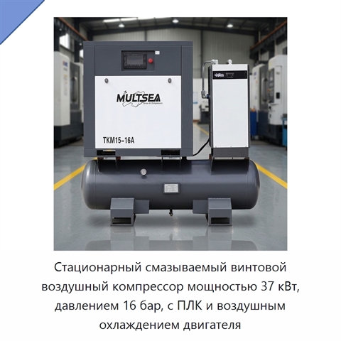 Стационарный смазываемый винтовой воздушный компрессор мощностью 37 кВт, давлением 16 бар, с ПЛК и воздушным охлаждением двигателя