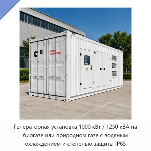 Генераторная установка 1000 кВт / 1250 кВА на биогазе или природном газе с водяным охлаждением и степенью защиты IP65