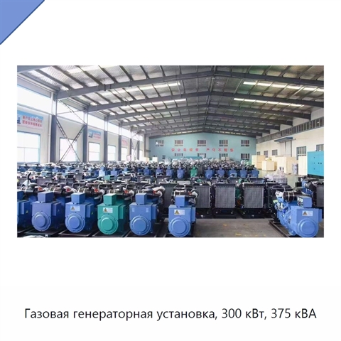 Газовая генераторная установка, 300 кВт, 375 кВА