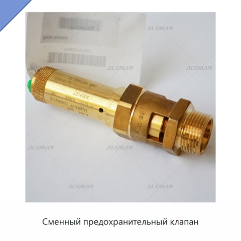 Сменный предохранительный клапан