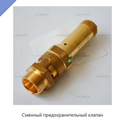 Сменный предохранительный клапан