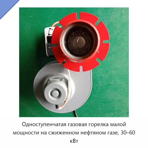 Одноступенчатая газовая горелка малой мощности на сжиженном нефтяном газе, 30–60 кВт