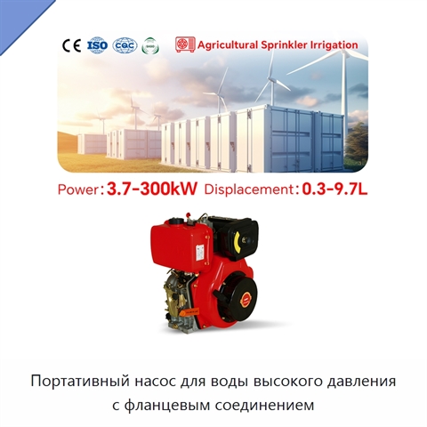 Портативный насос для воды высокого давления с фланцевым соединением