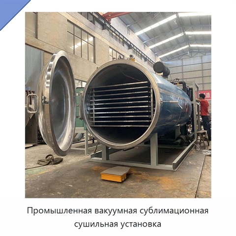 Промышленная вакуумная сублимационная сушильная установка