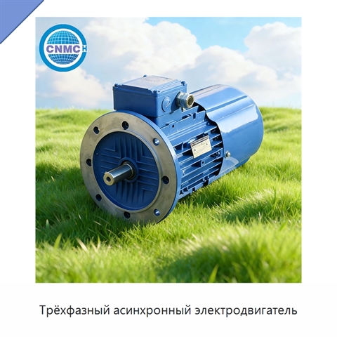 Трёхфазный асинхронный электродвигатель