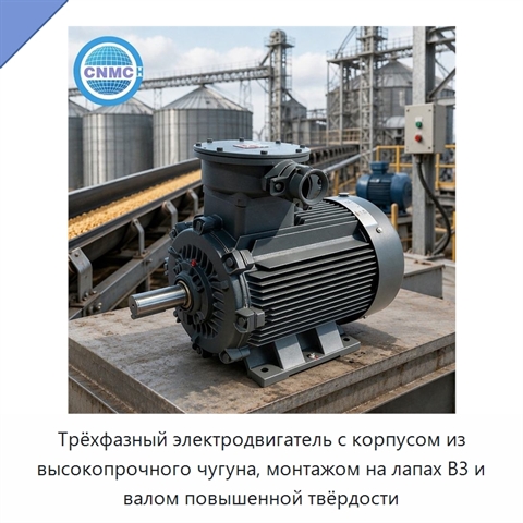 Трёхфазный электродвигатель с корпусом из высокопрочного чугуна, монтажом на лапах B3 и валом повышенной твёрдости