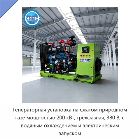 Генераторная установка на сжатом природном газе мощностью 200 кВт, трёхфазная, 380 В, с водяным охлаждением и электрическим запуском