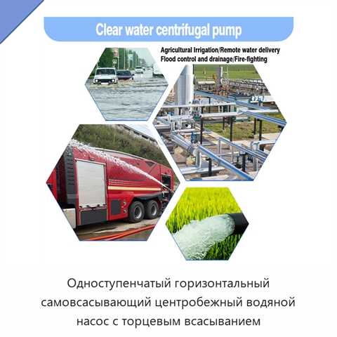Одноступенчатый горизонтальный самовсасывающий центробежный водяной насос с торцевым всасыванием