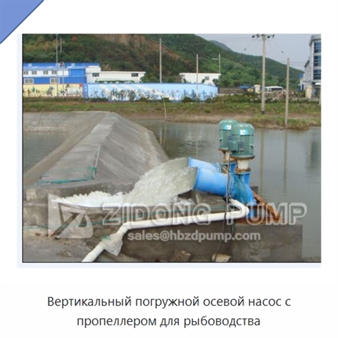 Вертикальный погружной осевой насос с пропеллером для рыбоводства