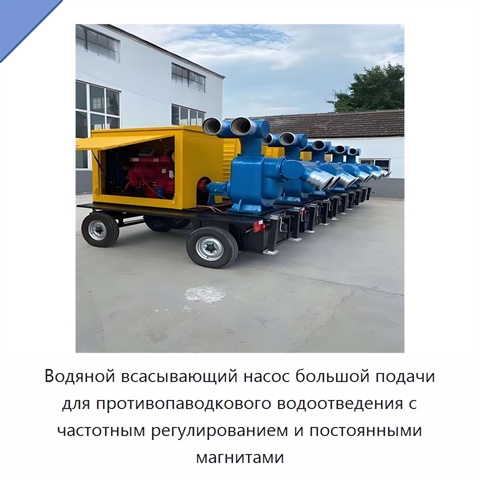 Водяной всасывающий насос большой подачи для противопаводкового водоотведения с частотным регулированием и постоянными магнитами
