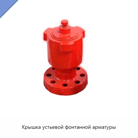 Крышка устьевой фонтанной арматуры