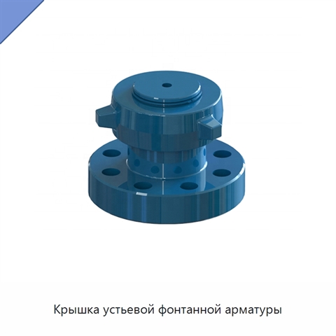 Крышка устьевой фонтанной арматуры