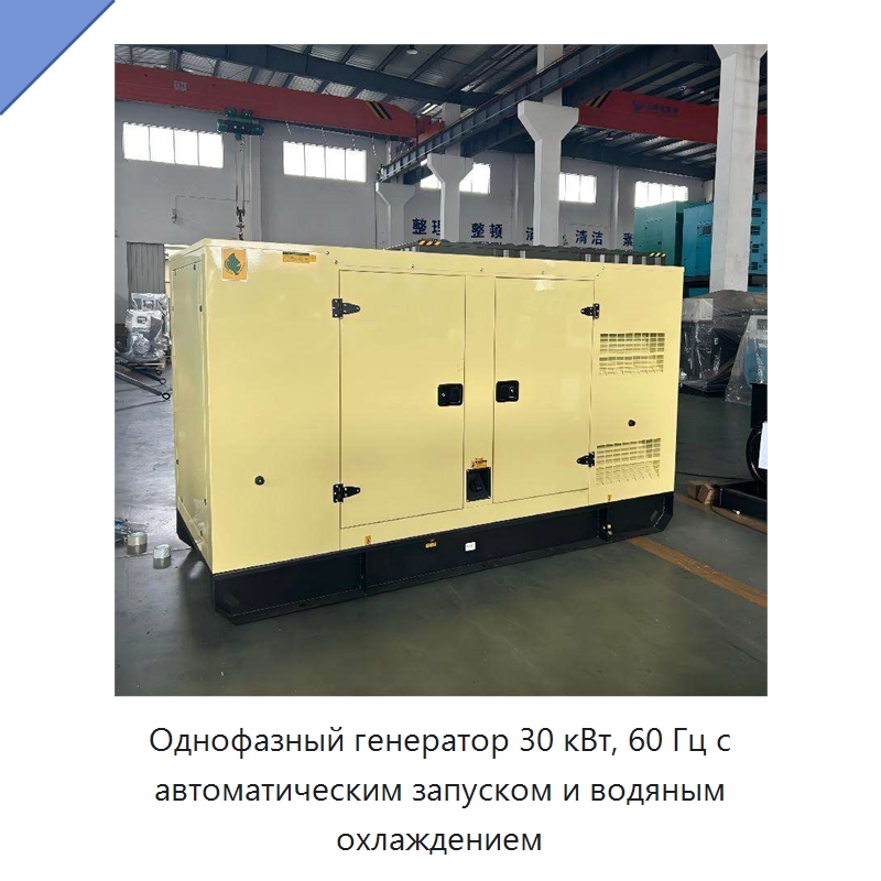 Однофазный генератор 30 кВт, 60 Гц с автоматическим запуском и водяным охлаждением — Дизельные генераторы