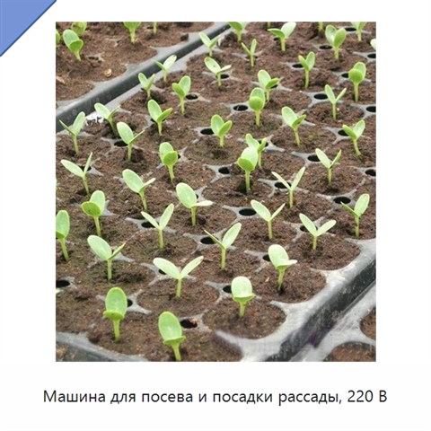 Машина для посева и посадки рассады, 220 В