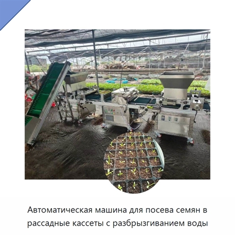 Автоматическая машина для посева семян в рассадные кассеты с разбрызгиванием воды