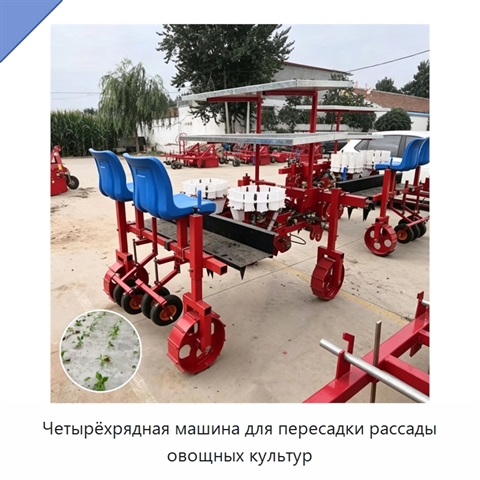 Четырёхрядная машина для пересадки рассады овощных культур