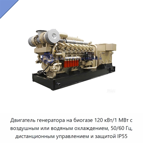 Двигатель генератора на биогазе 120 кВт/1 МВт с воздушным или водяным охлаждением, 50/60 Гц, дистанционным управлением и защитой IP55