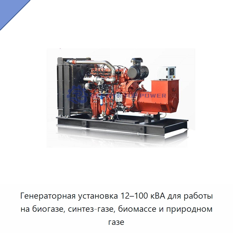 Генераторная установка 12–100 кВА для работы на биогазе, синтез-газе, биомассе и природном газе — Газотурбинные генераторы