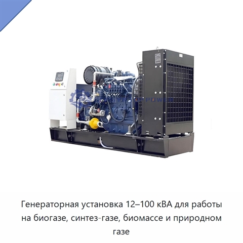 Генераторная установка 12–100 кВА для работы на биогазе, синтез-газе, биомассе и природном газе