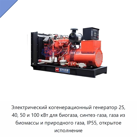 Электрический когенерационный генератор 25, 40, 50 и 100 кВт для биогаза, синтез-газа, газа из биомассы и природного газа, IP55, открытое исполнение