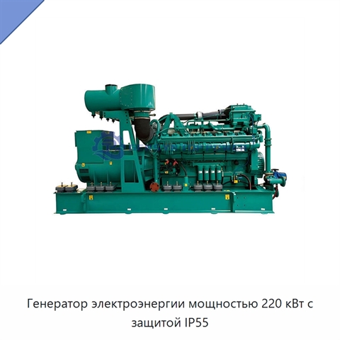 Генератор электроэнергии мощностью 220 кВт с защитой IP55