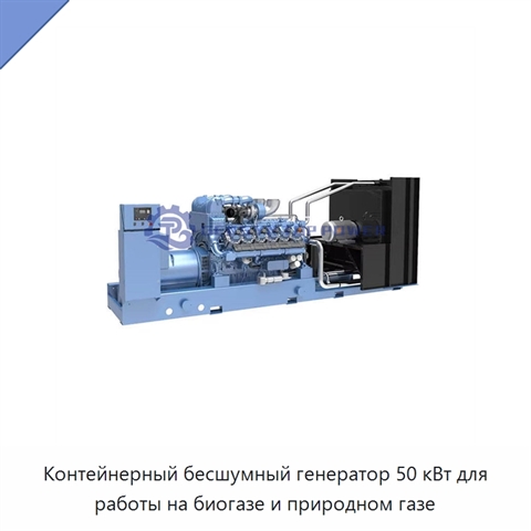 Контейнерный бесшумный генератор 50 кВт для работы на биогазе и природном газе