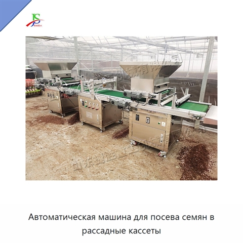 Автоматическая машина для посева семян в рассадные кассеты