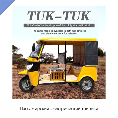 Пассажирский электрический трицикл