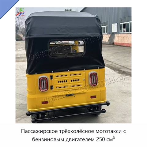 Пассажирское трёхколёсное мототакси с бензиновым двигателем 250 см³